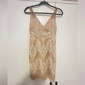 Lulus Sheer Lace Dress with Nude Underlay